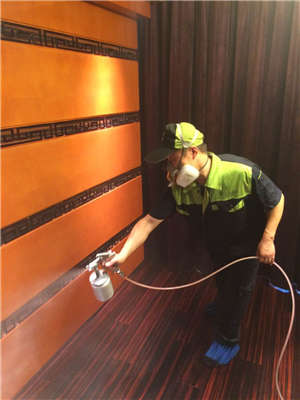 霞公府高档社区室内治理