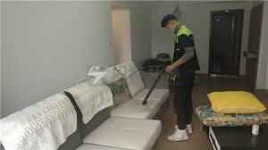 金地悦风甲醛治理