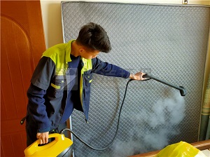 河套中筑蓝湾甲醛治理