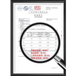 气态污染物去除率检测报告..