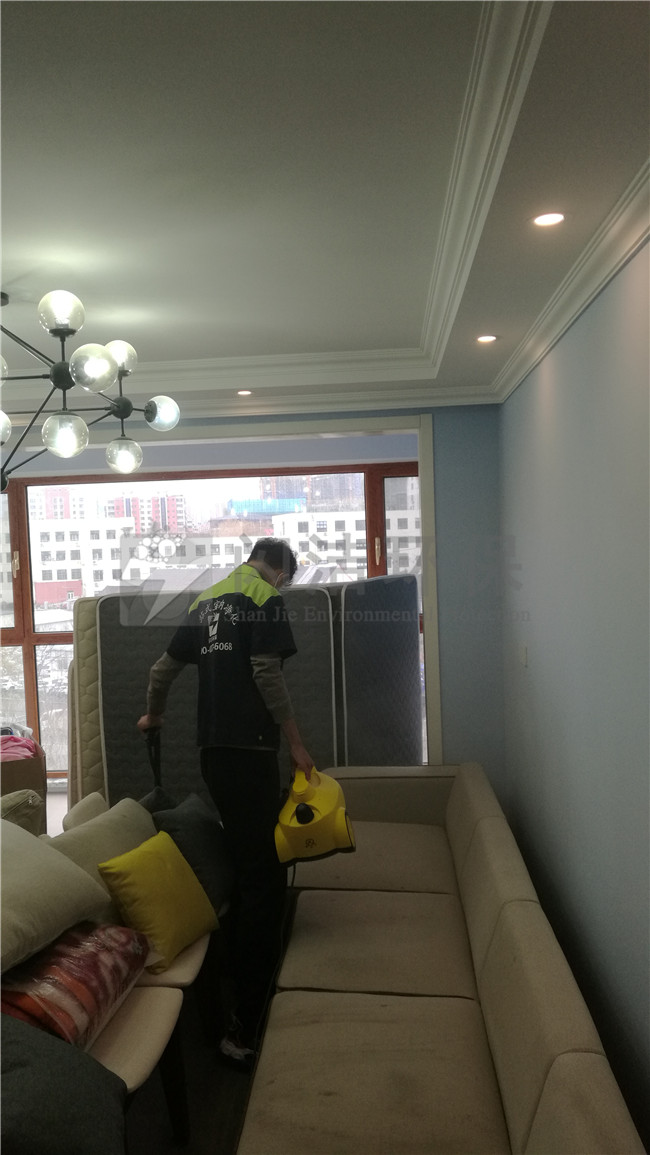 青岛除甲醛哪家好