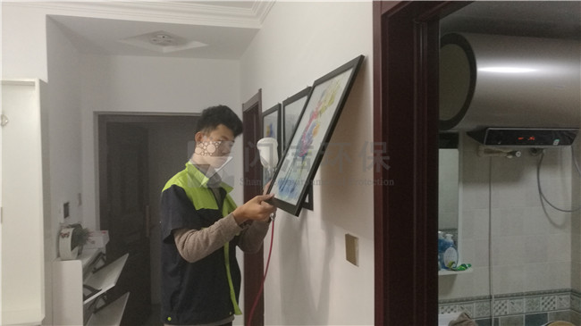 青岛除甲醛公司哪家好