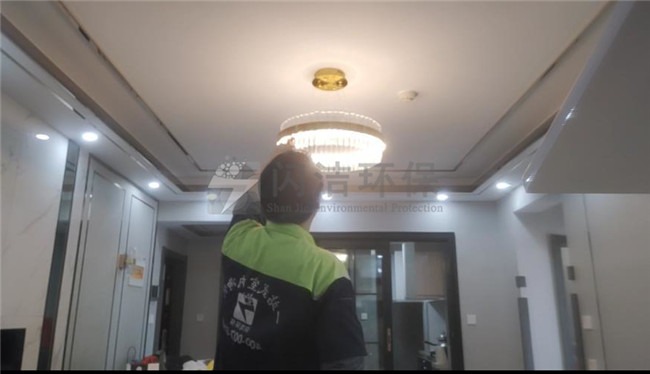 除甲醛青岛