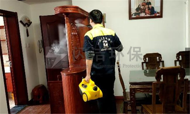 上门除甲醛