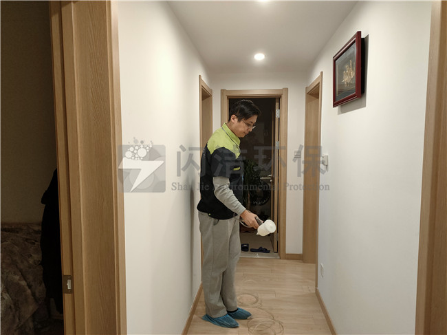 青岛除甲醛公司哪家好